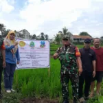 UPT.Pertanian Kersamanah Gelar Kegiatan Optimalisasi Lahan Sawah Non Rawa Di Dua Desa 20251121_104450