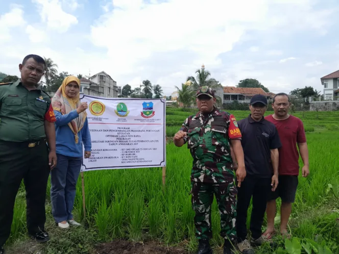 UPT.Pertanian Kersamanah Gelar Kegiatan Optimalisasi Lahan Sawah Non Rawa Di Dua Desa