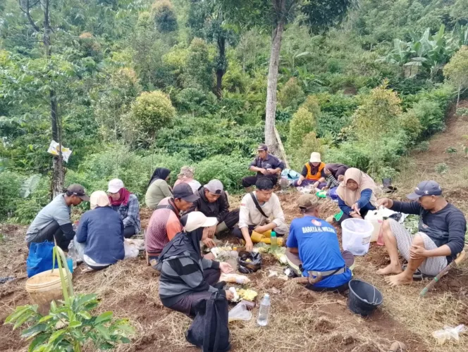 Karang Taruna Sukamulya Galakan Penanaman Jagung