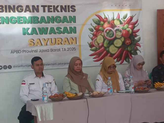 Jabar Gelar Bintek Pengembangan Sayuran Di Puspahiang