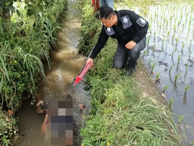 Polsek Kadungora Evakuasi Penemuan Mayat Di sungai Cipala