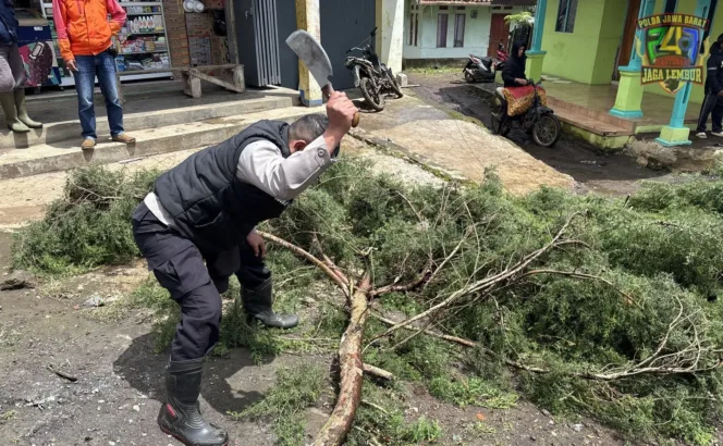 Respon Cepat Polsek Pasirwangi, Evakuasi Pohon Tumbang Di Desa Padaawas