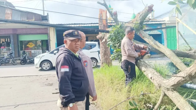 Respon Cepat Polsek Samarang Evakuasi  Pohon Tumbang, Akses Jalan Lancar Kembali