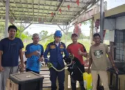Ibu Nessa Melihat Ular Besar Masuk ke Rumah Dekat Masjid,Damkar Gerak Cepat Evakuasi.