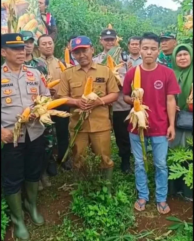 Panen Perdana Jagung Desa Sukalilah: Sinergi TNI–Polri dan Rakyat Desa dalam Menjaga Ketahanan Pangan Nasional