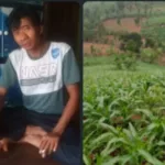 Kelompok Tani Jagung Cipari Jaya Simpen Kaler Berharap Perbaiki Jalan Demi Kelancaran Panen Raya Screenshot_20260108_193916_WhatsApp