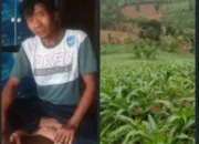 Kelompok Tani Jagung Cipari Jaya Simpen Kaler Berharap Perbaiki Jalan Demi Kelancaran Panen Raya