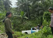 Sigap Layana Laka Tunggal Di Bungbulang, Polsek Evakuasi Korban Mobil Terperosok Ke Jurang
