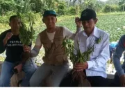 Bumdes Pakuan Jaya Karang Mukti Salawu Berhasil Kembangkan Program Ketahanan Pangan