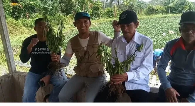 Bumdes Pakuan Jaya Karang Mukti Salawu Berhasil Kembangkan Program Ketahanan Pangan