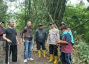 Longsor Putus Akses Dua Desa Di Sukaresmi, Polsek Cisurupan Dan Warga Bergerak Cepat lakukan Penanganan