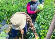 Karya nyata Seorang Srikandi Untuk Warga Kutawaringin Lewat Bumdes