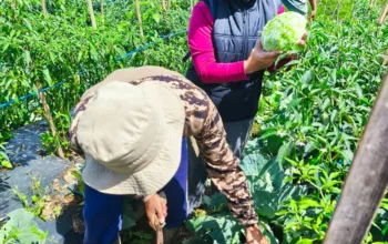 Karya nyata Seorang Srikandi Untuk Warga Kutawaringin Lewat Bumdes