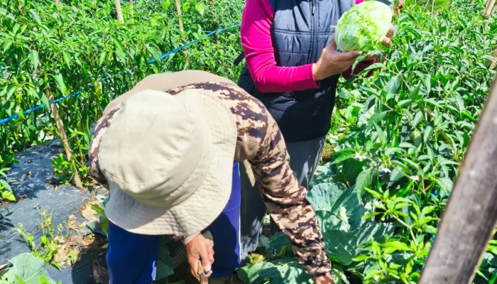 Karya nyata Seorang Srikandi Untuk Warga Kutawaringin Lewat Bumdes