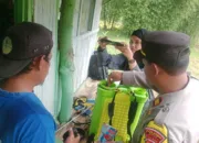 Polsek Leuwigoong Bersama Petani Lakukan Pengecekan Dan Perawatan Tanaman Jagung