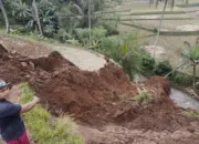 Longsor Terjang Area Persawahan Di Lingasari Malangbong