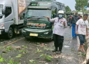 Hujan Lebat Dan Angin Kencang, Jalur Nasional Lumpuh Total