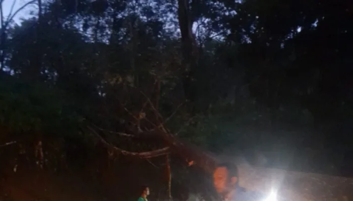 Polsek Cisompet Evakuasi Pohon Tumbang Yang Sempat Tutup Akses Jalan