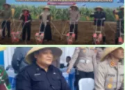 Dedi Mulyadi Apresiasi Penanaman Jagung Serentak Kuartal I 2026, Dukung Swasembada Jagung