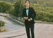 Vidi Aldiano Meninggal, Dunia Hiburan Indonesia Kehilangan